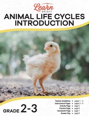 This is the title page for the Animal Life Cycles Introduction lesson plan. The main image is of a chick. The orange Learn Bright logo is at the top of the page.