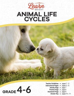 This is the title page for the Animal Life Cycles lesson plan. The main image is of a dog and puppy. The orange Learn Bright logo is at the top of the page.