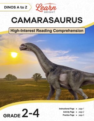 This is the title page for the Dinos A to Z: Camarasaurus lesson plan. The main image is of this dinosaur looking over vast plains. The orange Learn Bright logo is at the top of the page.
