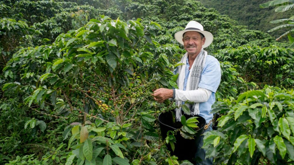 Colombian Coffee Farmer