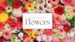 Fun Facts About Flowers Blog Cover
