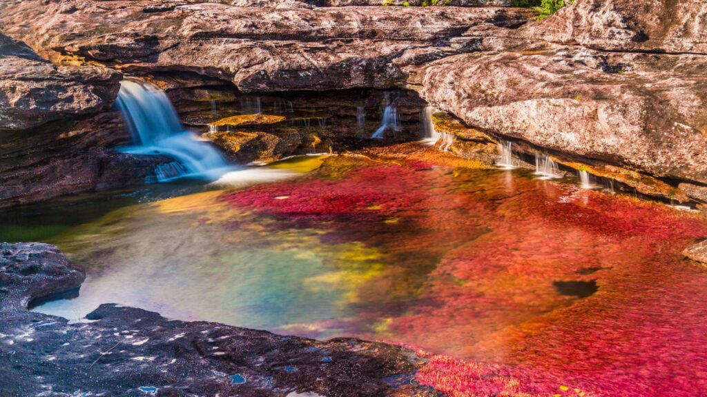 Colombia's Rainbow River