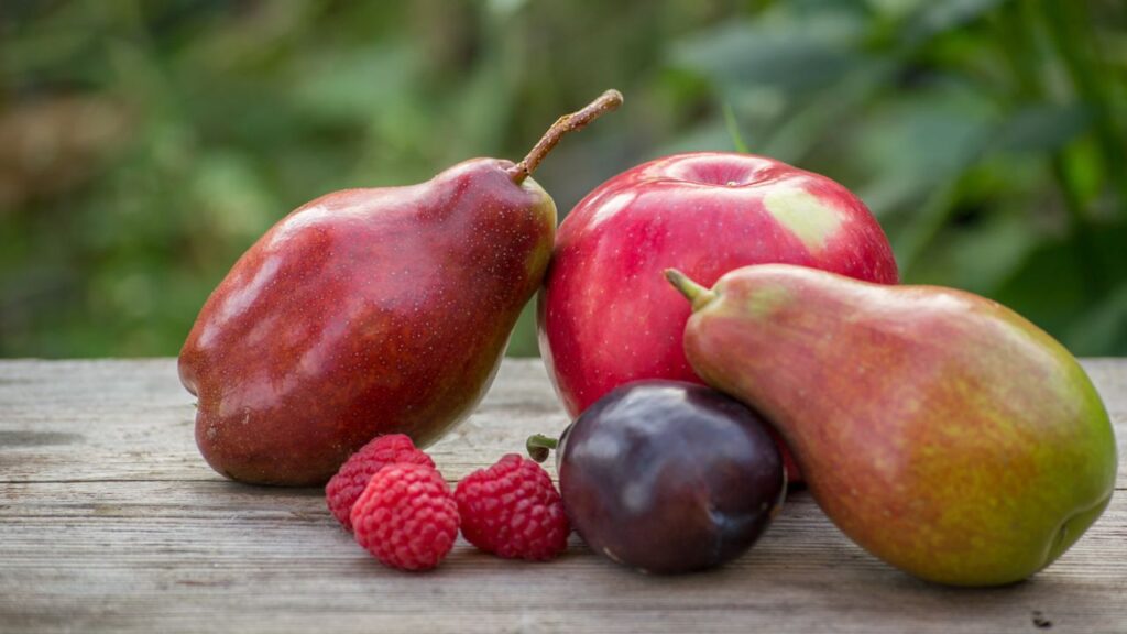 fun fact about flowers:  roses are related to almonds, apples, raspberries, peaches, plums, cherries, nectarines, and pears