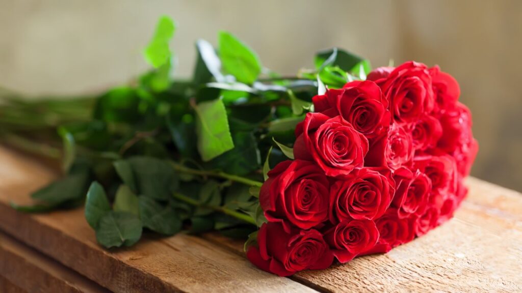 I love you roses