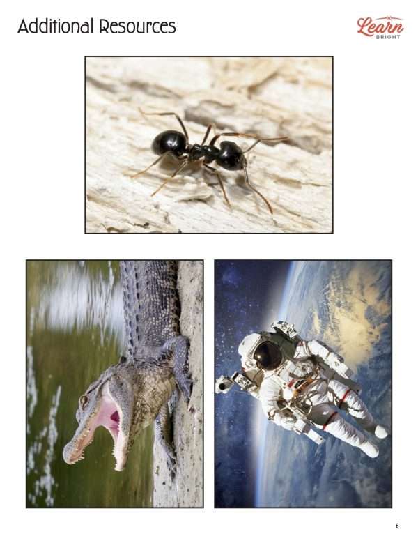 This is an additional resources page for the Alphabet: Letter A lesson plan. There are pictures of three things that start with the letter a: astronaut, ant, alligator. The orange Learn Bright logo is in the upper right corner of the page.