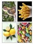 This is an additional resources page for the Alphabet: Letter F lesson plan. There is a photo of a monkey, of french fries, of lemons, and of fruit.