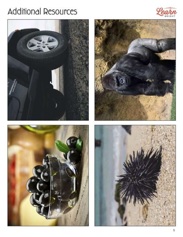 This is an additional resources page for the Colors: Black lesson plan. There are photos of a tire, gorilla, bowl of olives, and sea urchin. The orange Learn Bright logo is in the upper right corner of the page.