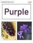 This is an additional resources page for the Colors: Purple lesson plan. There are photos of a bunch of grapes and flowers. The orange Learn Bright logo is in the upper right corner of the page.