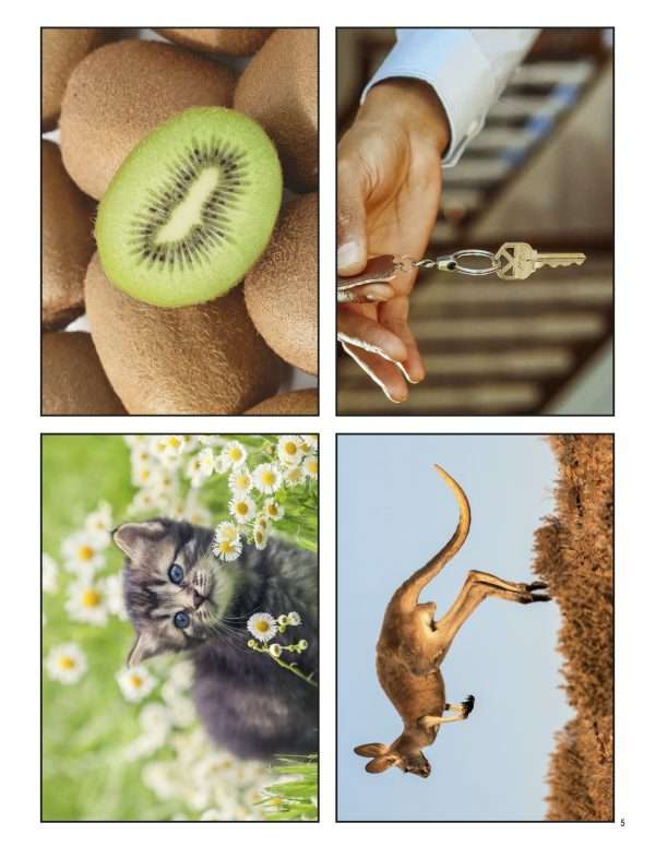 This is an additional resources page for the Alphabet: Letter K lesson plan. There are four photos of different things that start with K: kiwi, key, kitten, and kangaroo.